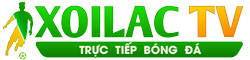 các loại quả